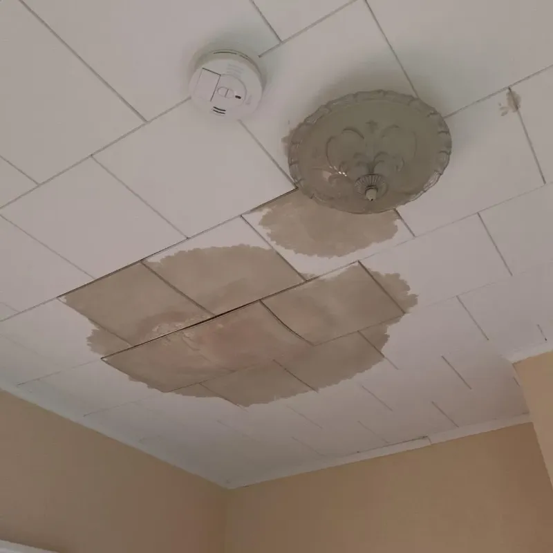 Ceiling Water Damage Repair in Mission Hills, KS