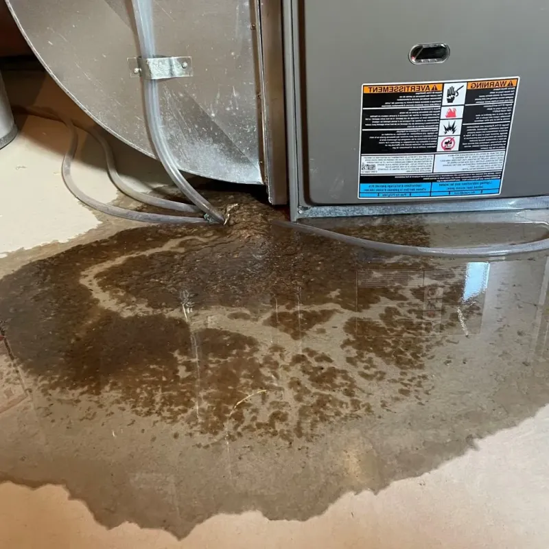 Pipe Burst and Leak Restoration in Mission Hills, KS
