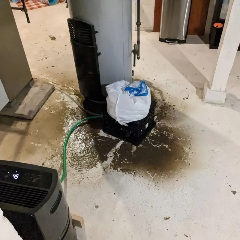 Sewage Backup Cleanup Service in Mission Hills, KS